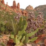 Energetic Vortex Sedona - Arizona